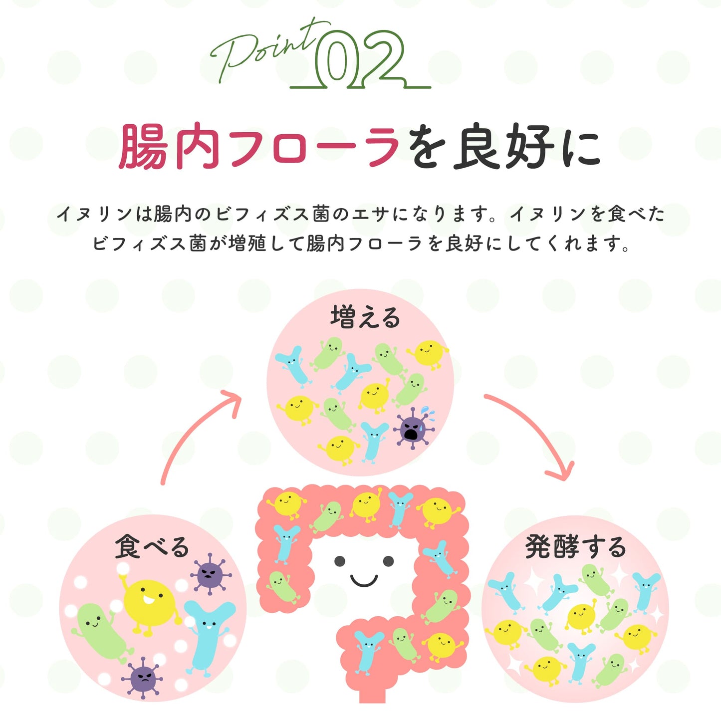 腸内フローラを良好に